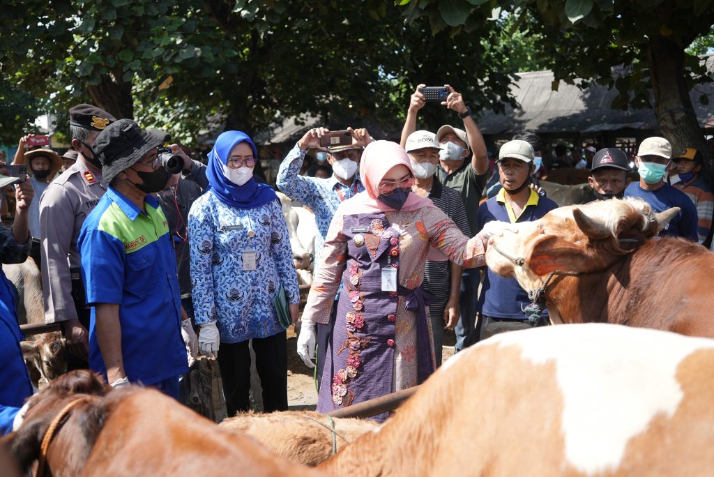 Pemkab Klaten datangkan vaksin cegah Penyakit Kuku dan Mulut untuk 6.783 ekor sapi