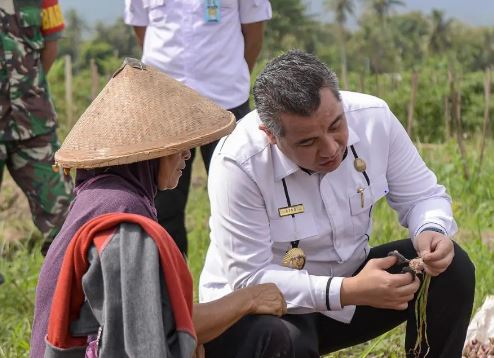 Alami keterbatasan finansial, petani Sukadadi terima bibit bawang gratis dari Pemkab Pesawaran
