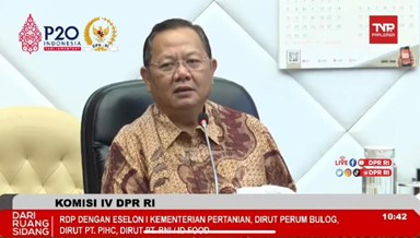 Ketua Komisi IV DPR: Implementasi pencegahan penyebaran PMK belum memadai 