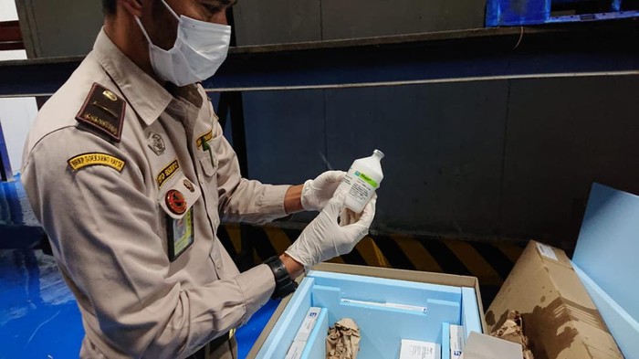 Distan Bandar Lampung pastikan vaksinasi Penyakit Mulut dan Kuku selesai sebelum Iduladha