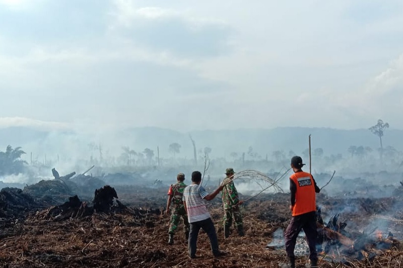 3 hektare lahan terbakar di Aceh Selatan