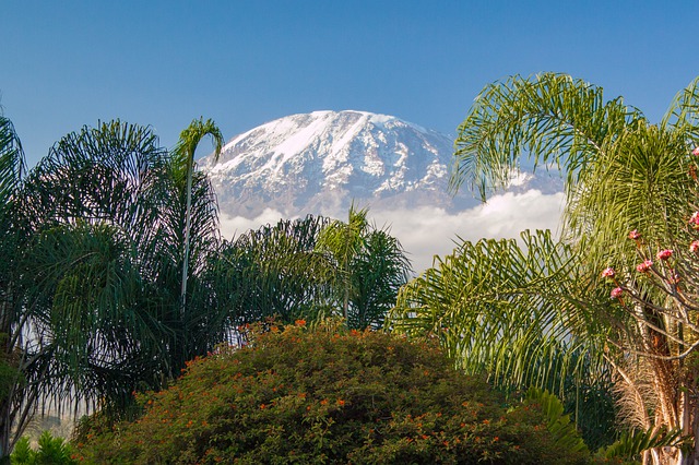 Gunung Kilimanjaro sekarang dilengkapi jaringan internet 