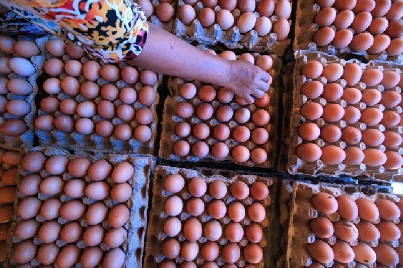 Zulhas targetkan harga telur turun jadi Rp28.000 per kilogram