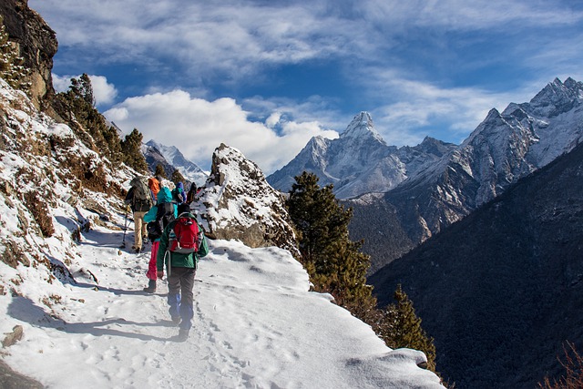 Korban tewas akibat longsoran salju di Himalaya India naik menjadi 19
