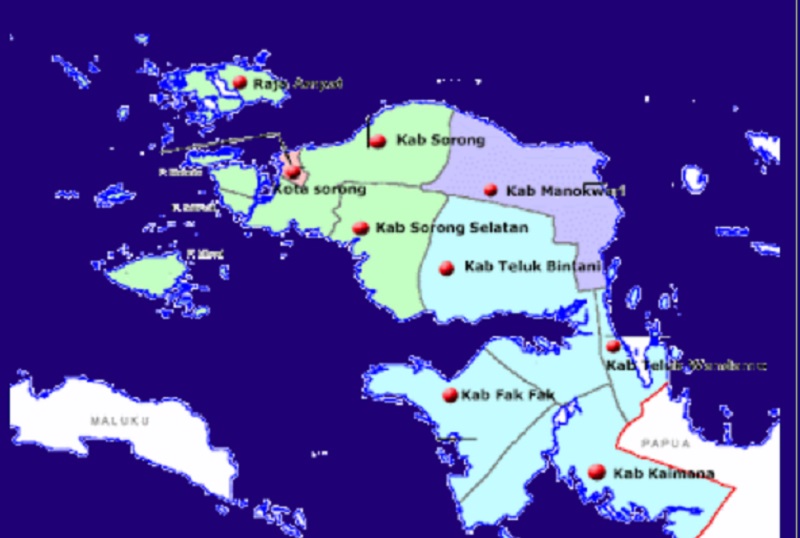 Puan sebut pembentukan Provinsi Papua Barat Daya demi pemerataan pembagunan