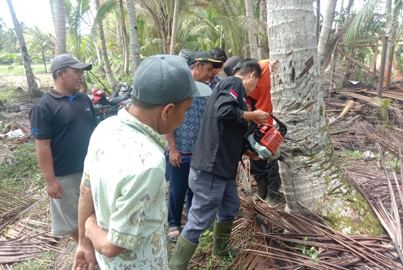 BPTP Pontianak bantu petani kelapa atasi serangan hama Artona Catoxantha