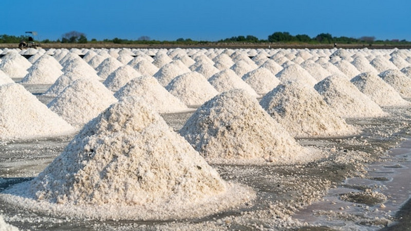 Korupsi impor garam, Kejagung sisir perusahaan penyerap