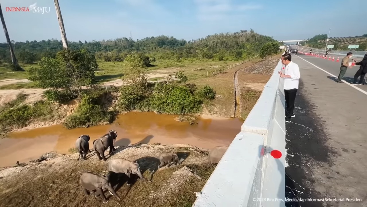 Jokowi tekankan pembangunan infrastruktur harus perhatikan kelestarian lingkungan