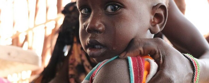 WHO: Hampir 130 ribu orang menghadapi kelaparan di Tanduk Afrika