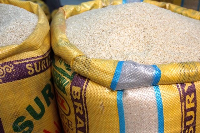 Hasil rapat Bapanas dengan Jokowi, Bulog ditugaskan impor segera 500 ribu ton dari 2 juta ton beras