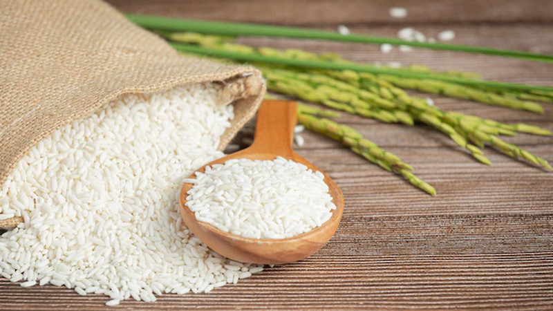 SPI kritik kebijakan impor beras 2 juta ton, sebut pemerintah teledor urus pangan