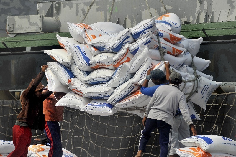 Pemerintah diminta tunggu data BPS sebelum realisasikan impor beras