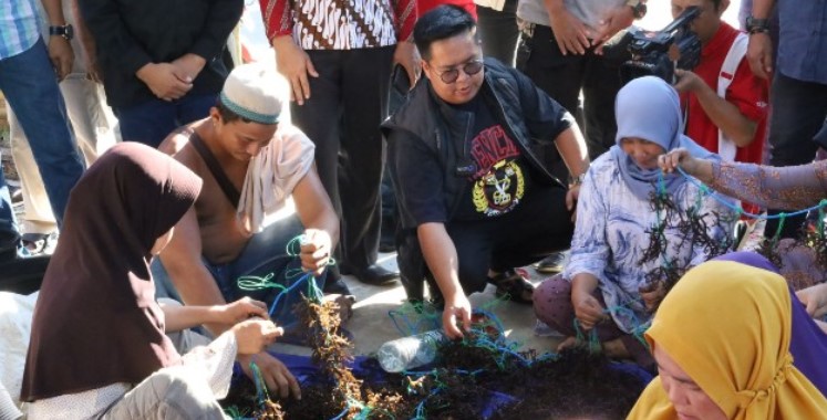 Tingkatkan produksi, pembudi daya di Samboja Kukar terima bibit rumput laut