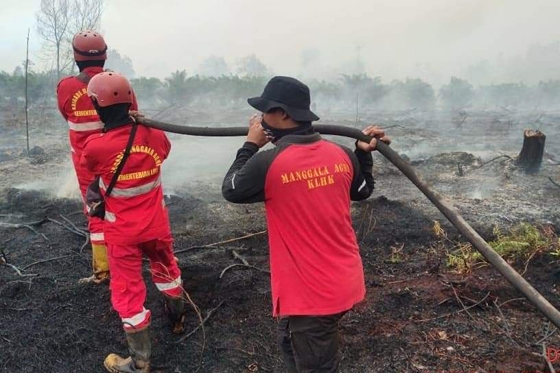 BPBD Riau berhasil padamkan karhutla di Dumai