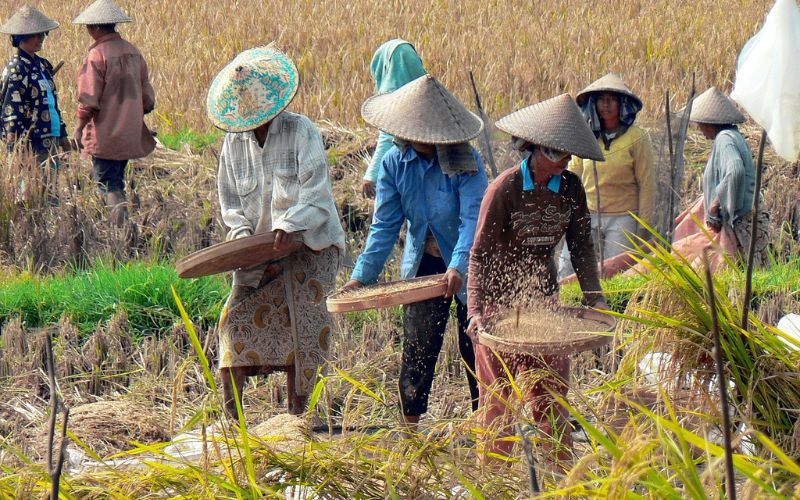 Dongkrak perekonomian, Pemko Bukittinggi sukseskan Sensus Pertanian 2023