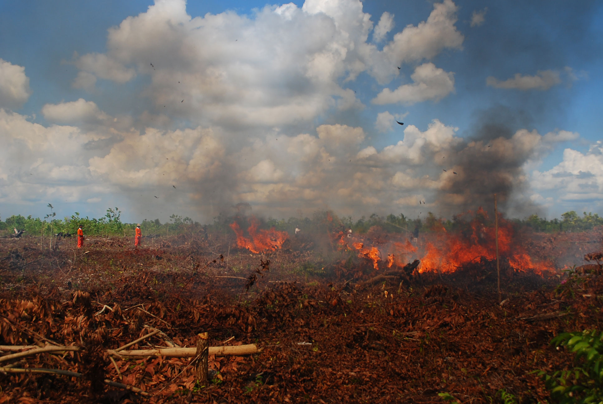 Gubernur Kalbar: Kebakaran hutan masih terus terjadi
