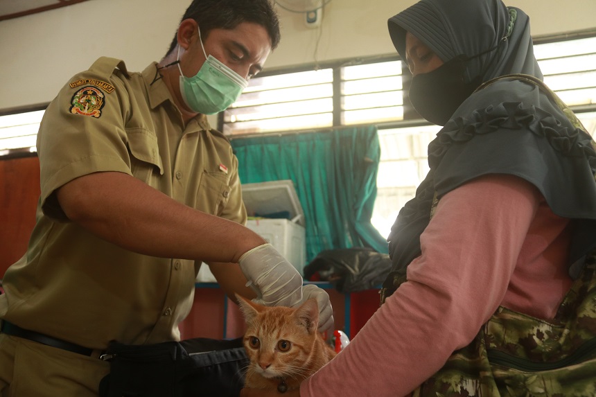 Pemkot Yogyakarta siapkan 2 Rabies Center gelar vaksinasi gratis hewan peliharaan