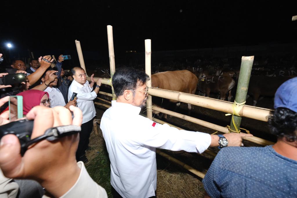 Pastikan ketersediaan kurban, Pemkab Gowa siapkan 6.000 ekor sapi