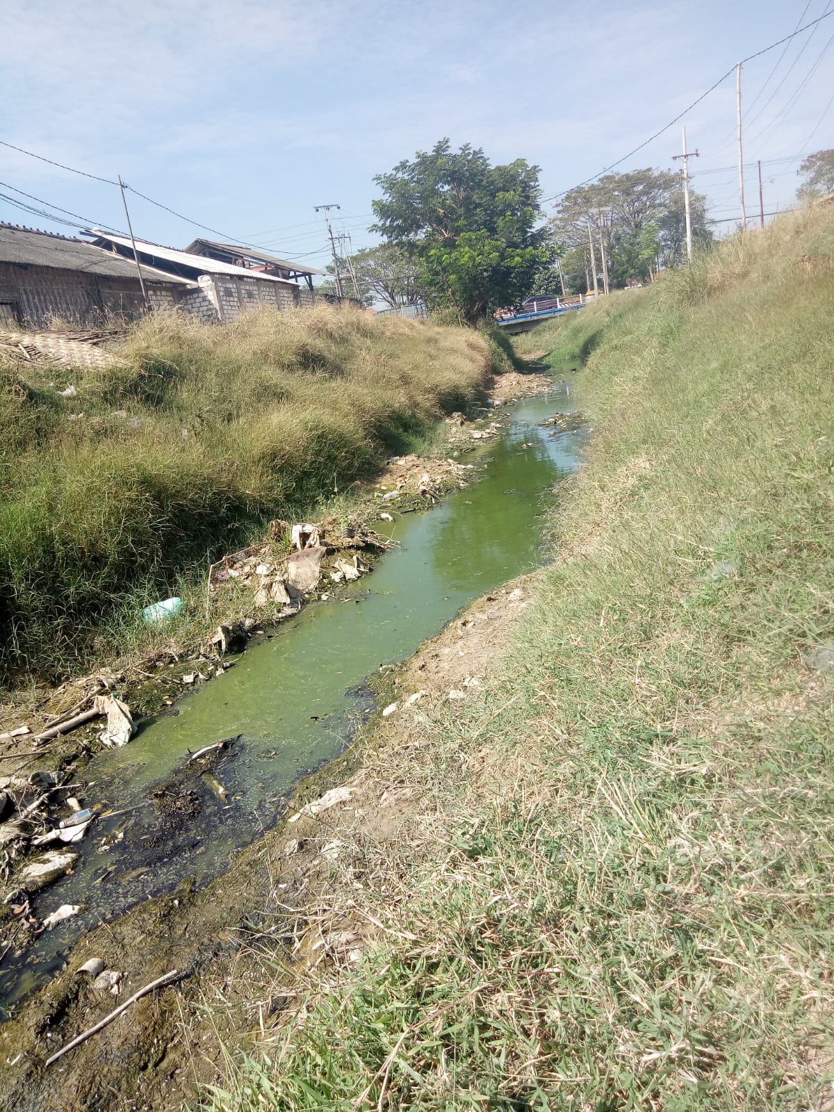 Anggota Dewan temukan sungai di Pati tercemar limbah, ancam petani garam
