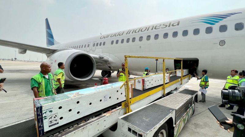Peninjauan kembali Greylag ditolak, Garuda Indonesia fokus transformasi kinerja