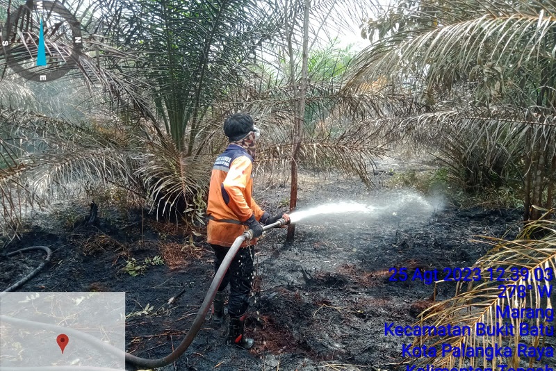 Luas wilayah yang terbakar di Kalsel telah mencapai 1.978 hektare