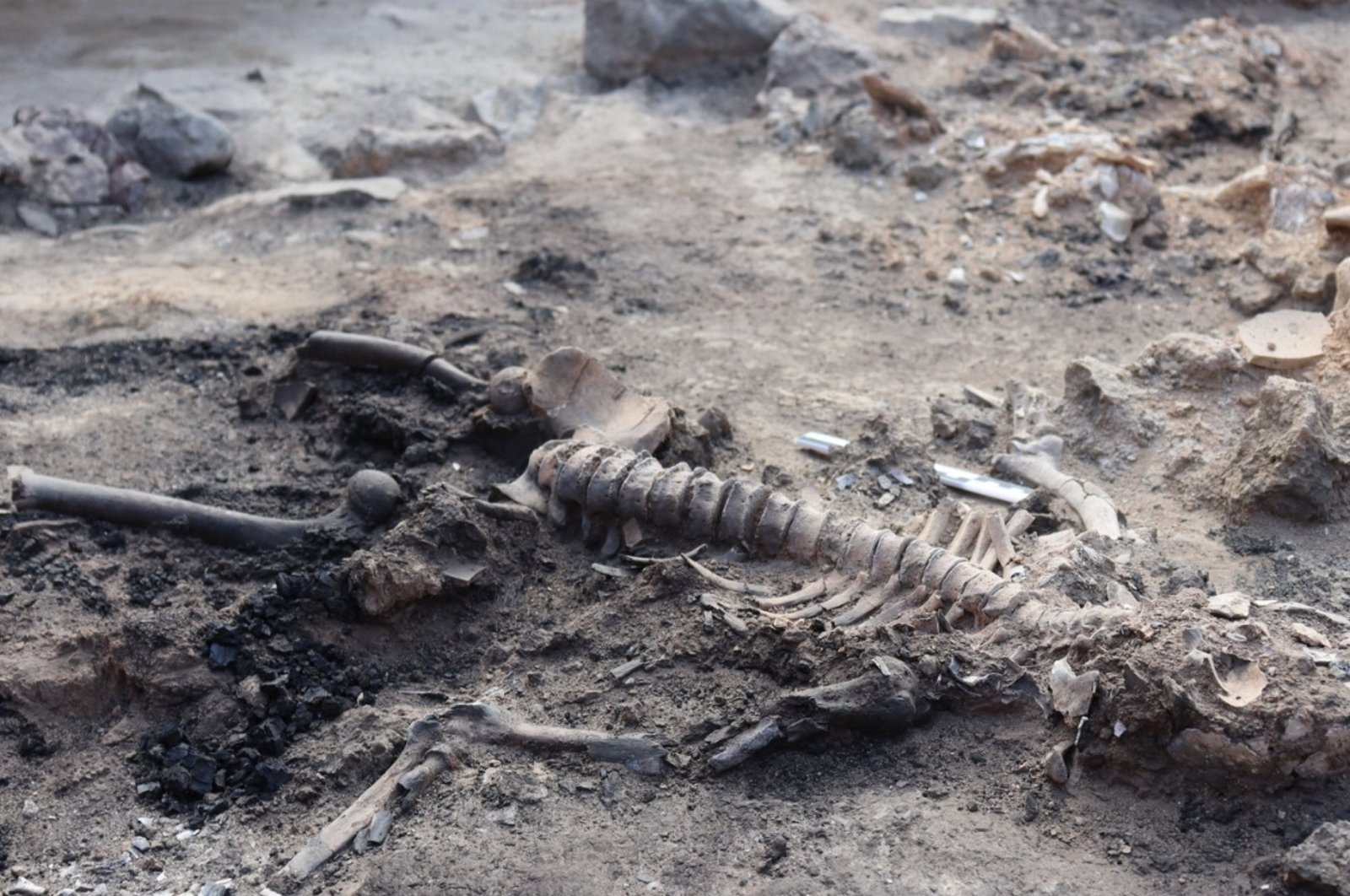 Otak dan sisa-sisa kulit ditemukan di pemukiman Zaman Perunggu di Türkiye