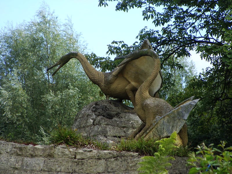 Fosil dinosaurus mirip burung ditemukan di China