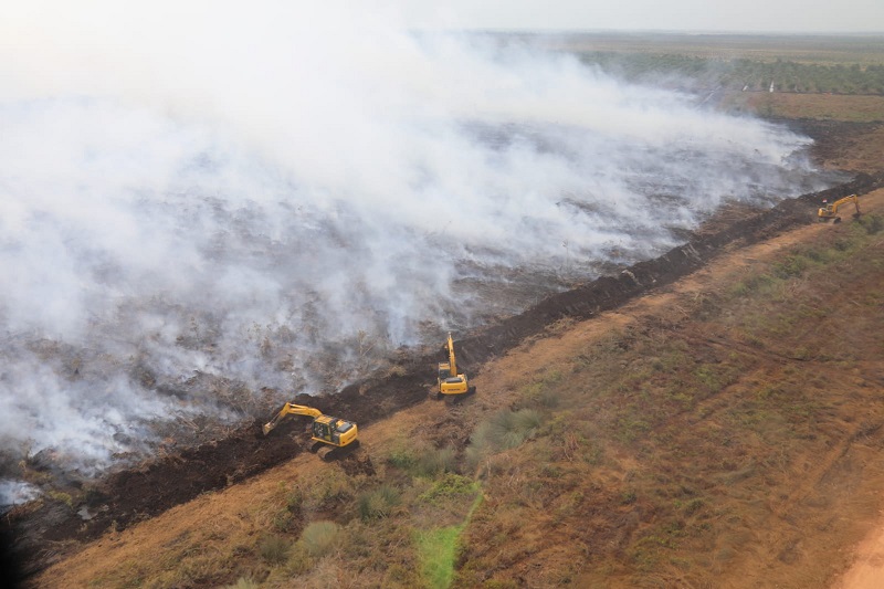 BNPB bantah asap kebakaran hutan di Sumsel nyeberang ke negara tetangga