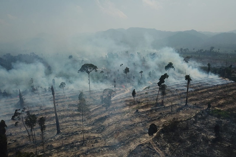 Butuh 10 hari buat Tim Satgas Karhutla padamkan kebakaran di Tebo