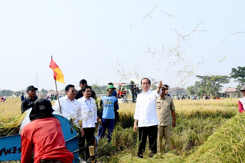 Jokowi tegaskan bakal tambah cadangan beras sebesar 1,5 juta ton 