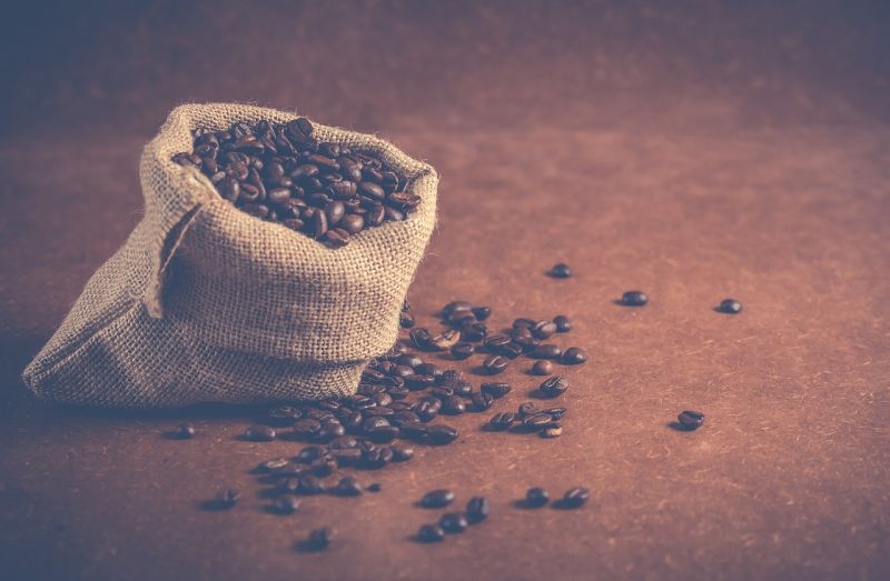 Aroma eksploitasi di balik nikmatnya kopi luwak