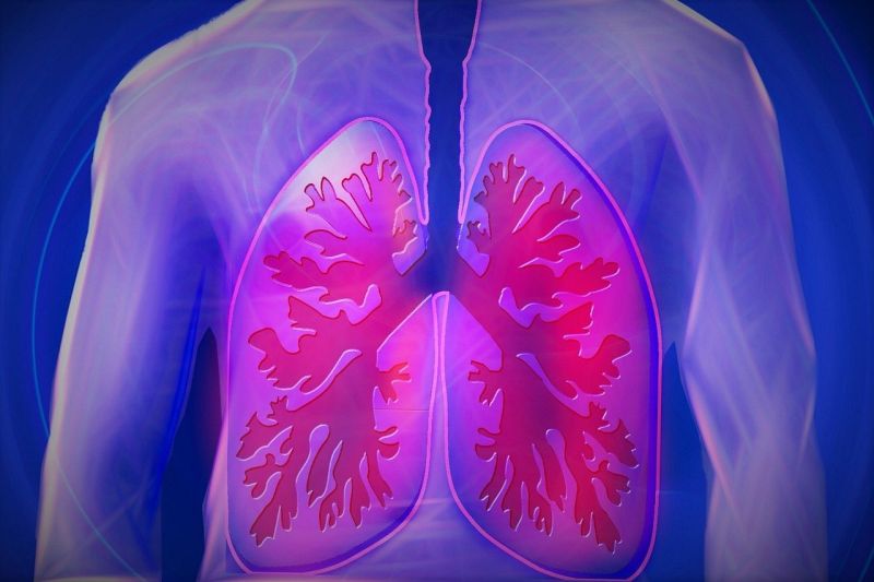 Apakah manusia dapat hidup dengan satu paru-paru?
