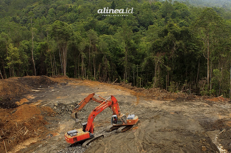 Hutan tropis Indonesia terus menipis