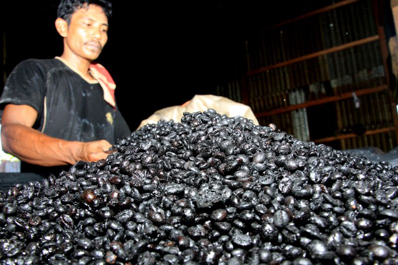 Produksi bubuk kopi tradisional Aceh. /Antara Foto
