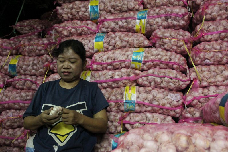 Buruh pasar mengupas kulit bawang putih yang dijual di Pasar Induk Kramat Jati Jakarta Timur, Rabu (8/5). /Antara Foto. 