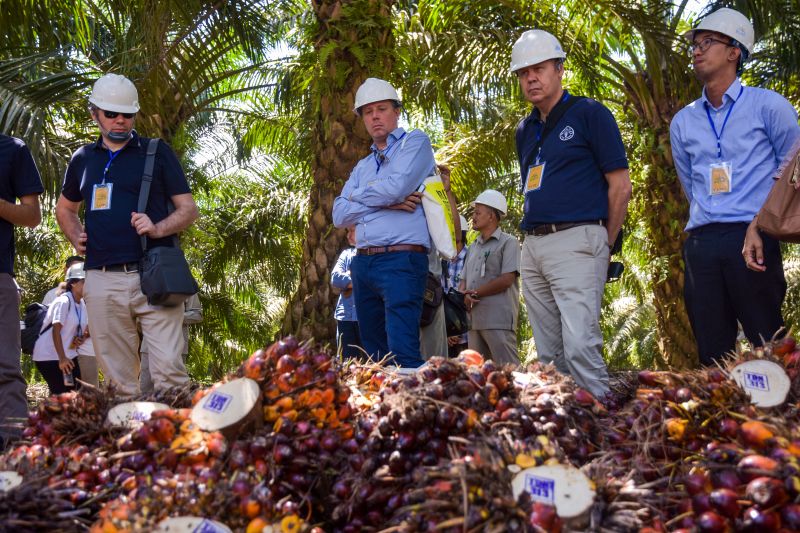 Sejumlah delegasi dari negara-negara Uni Eropa (UE) memperhatikan tandan buah segar kelapa sawit saat kunjungan perwakilan negara-negara Uni Eropa di perkebunan sawit PTPN V di Kabupaten Kampar, Riau, Kamis (9/5). /Antara Foto.