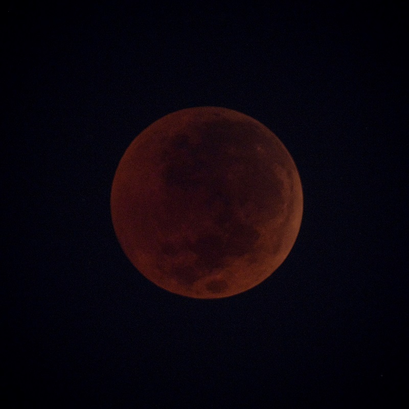 Gerhana bulan total atau Blood Moon terlihat dari kawasan Pasar Baru, Jakarta, Sabtu (28/7) dini hari. 
