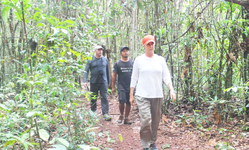 Jalan setapak ke dalam hutan Taman Nasional Tanjung Puting, Kalimantan Tengah. Kami dihibur suara hewan-hewan yang saling bersahut. (Alinea.id/Laila Ramdhini).