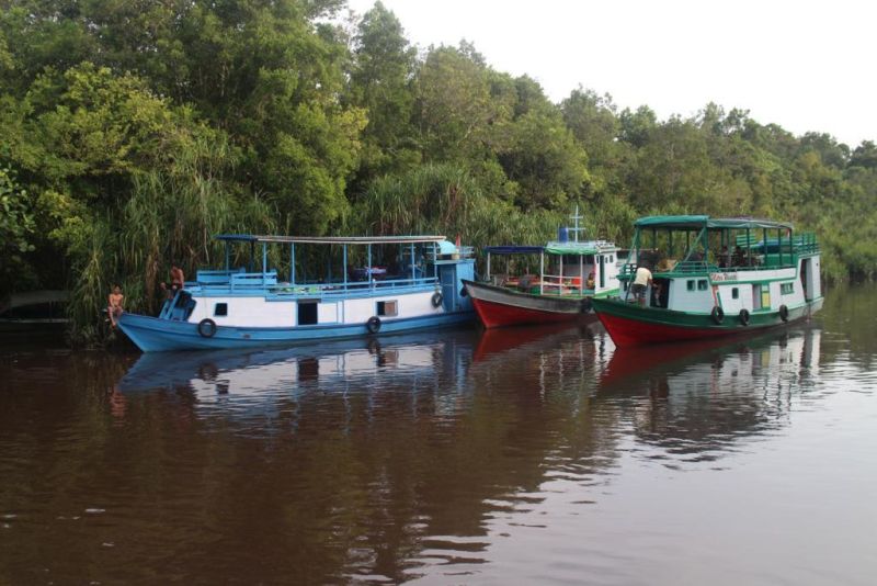 Kapal kelotok, kapal kayu yang membawa pengunjung dari Pelabuhan Kumai ke Taman Nasional Tanjung Puting, Kalimantan Tengah. (Alinea.id/Laila Ramdhini).