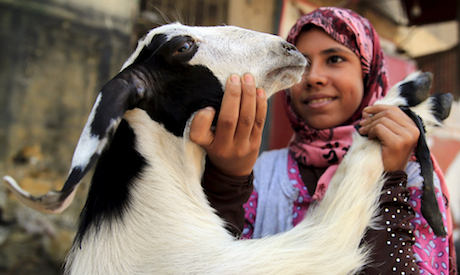 Seorang remaja perempuan dengan hewan kurban di pasar Mesir./ Reuters