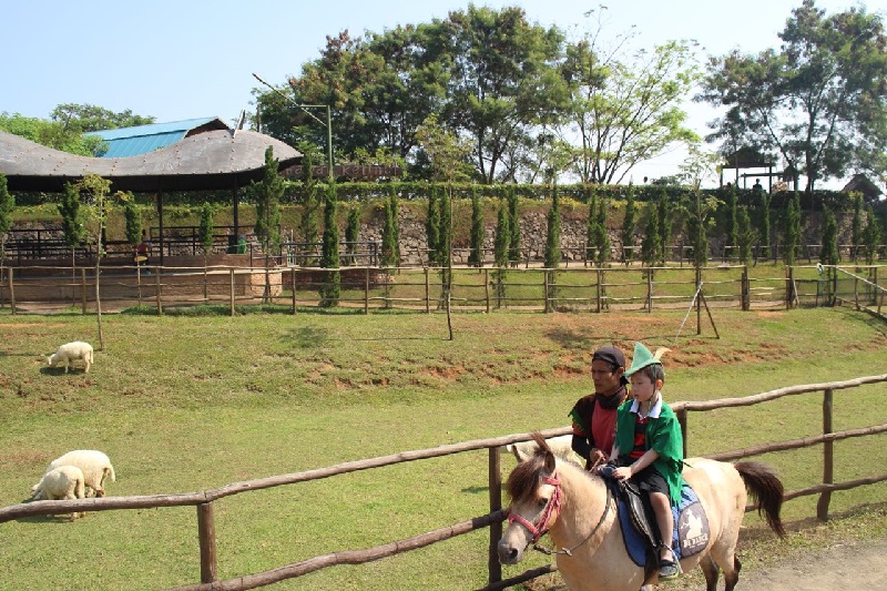 The Ranch Puncak Bermain Di Peternakan Dan Negeri Dongeng