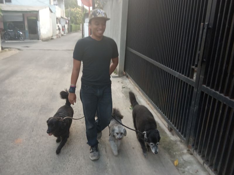Setiap pagi dan sore Abil mengajak anjing-anjing kliennya berjalan-jalan. Alinea.id/Manda Firmansyah.
