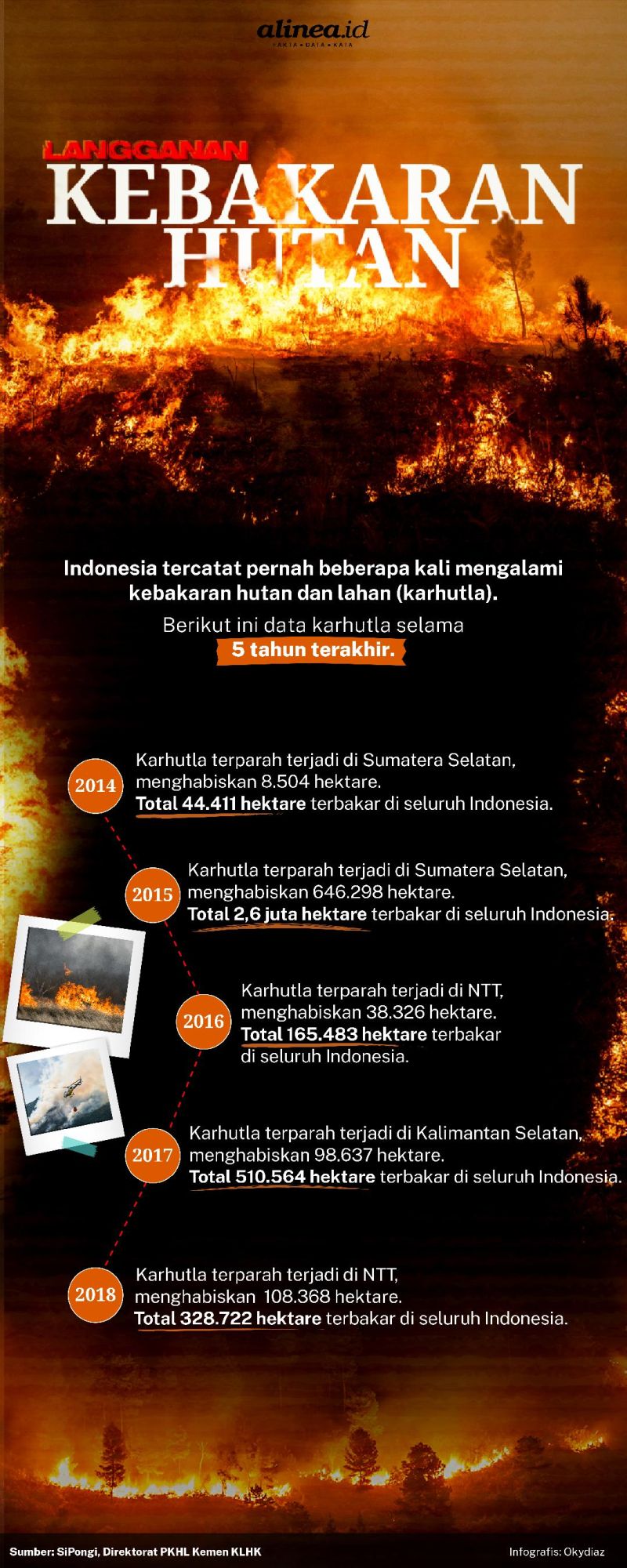 Hutan Indonesia nyaris setiap tahun mengalami kebakaran. Alinea.id/Oky Diaz.