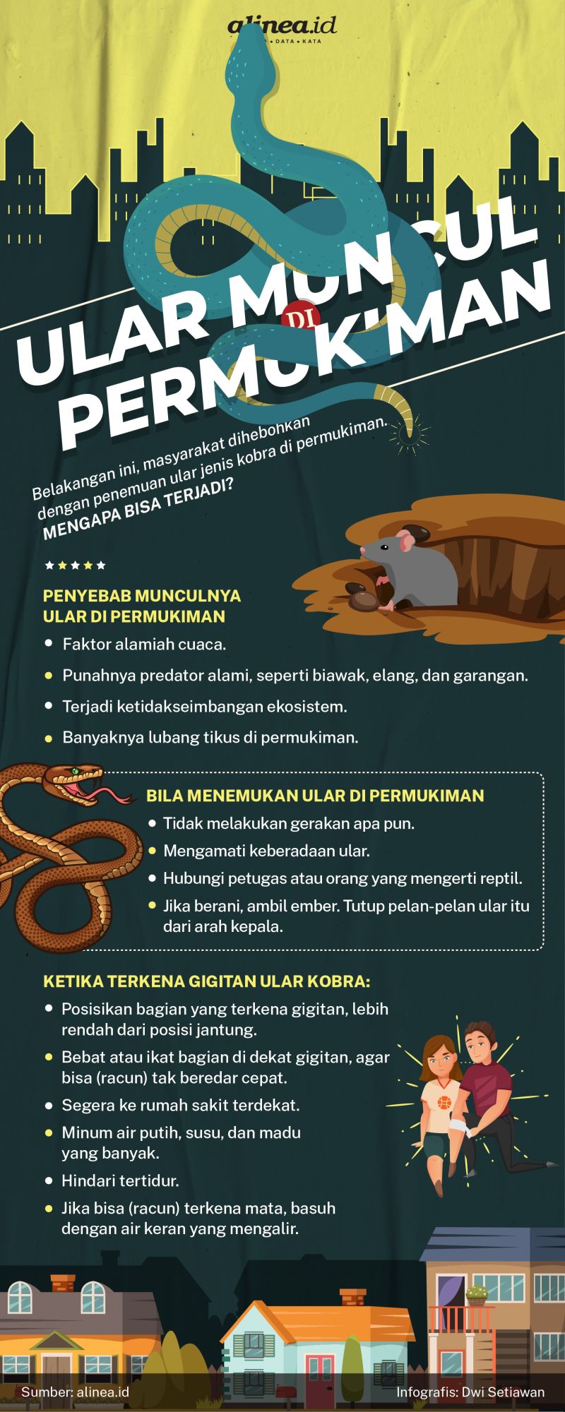 Infografik ular di permukiman. Alinea.id/Dwi Setiawan.