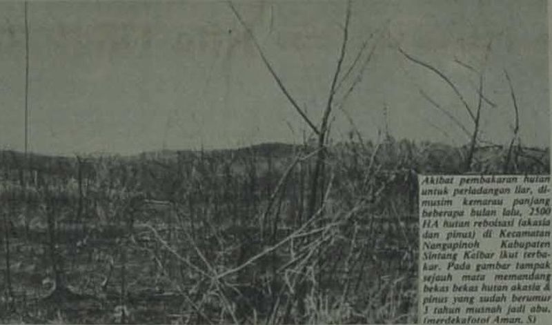 Kebakaran hutan pada 1982. /Merdeka, 30 Desember 1982.