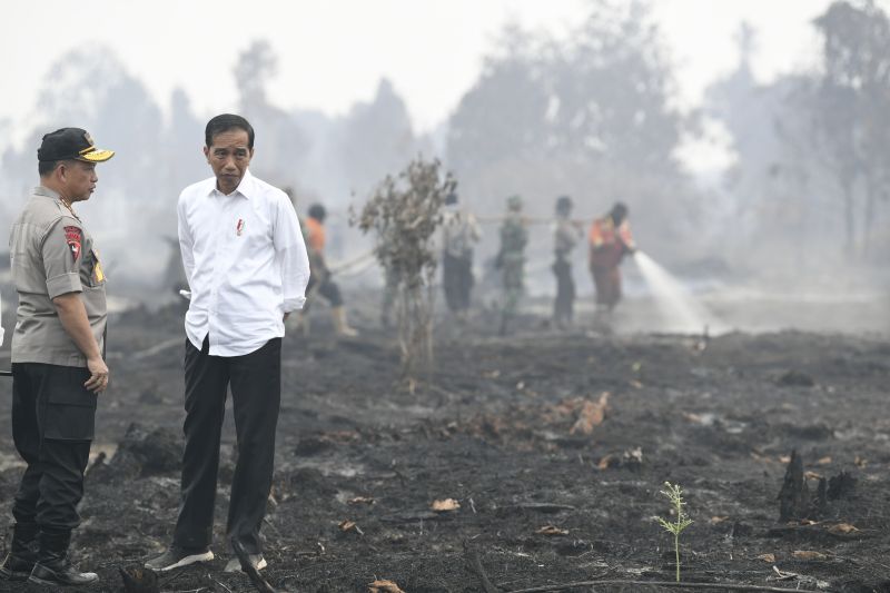 Presiden Joko Widodo (kanan) didampingi Kapolri Jenderal Pol Tito Karnavian meninjau penanganan kebakaran lahan di Desa Merbau, Kecamatan Bunut, Pelalawan, Riau, Selasa (17/9). /Antara Foto.