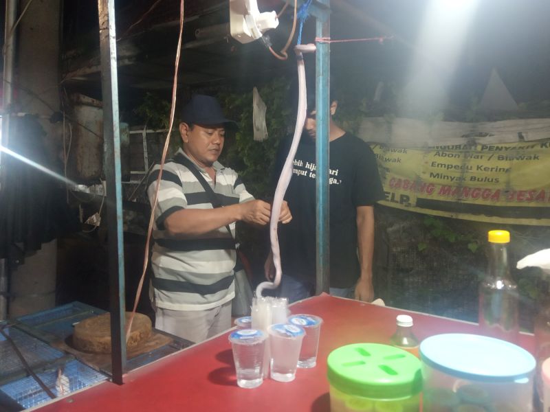 Seorang pedagang mengeluarkan darah ular kobra untuk dikonsumsi pembeli di Mangga Besar, Jakarta Barat, Kamis (23/1/2020). Alinea.id/Manda Firmansyah.