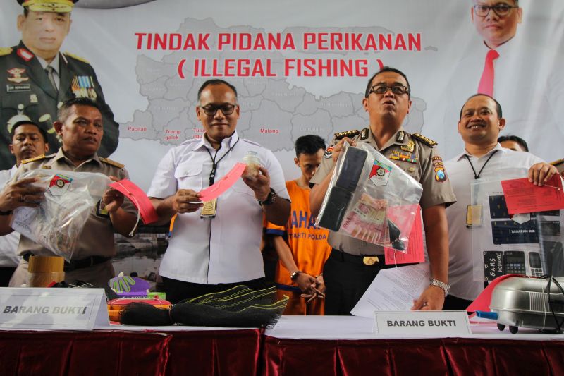 Polisi menunjukkan barang bukti dan tersangka saat ungkap kasus perdagangan benih Lobster ilegal di Polda Jawa Timur, Surabaya, Jawa Timur, Senin (2/12/2019). Foto Antara/Didik Suhartono.