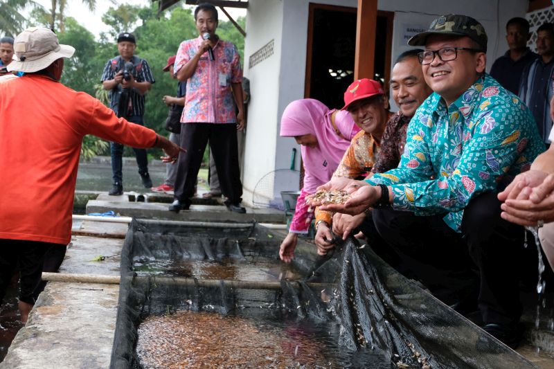 Menteri Kelautan dan Perikanan Edhy Prabowo (kanan) menunjukkan benih ikan Nila saat mengunjungi Loka Perbenihan dan Budidaya Ikan Air Tawar (PBIAT) Ngrajek, Mungkid, Magelang, Jawa Tengah, Jumat (6/12/2019). Foto Antara/Anis Efizudin.