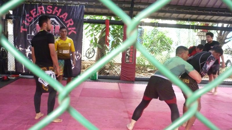 Suasana latihan MMA di sasana Tigershark, Jakarta Selatan, Kamis (16/1/2020). Alinea.id/Robertus Rony Setiawan.